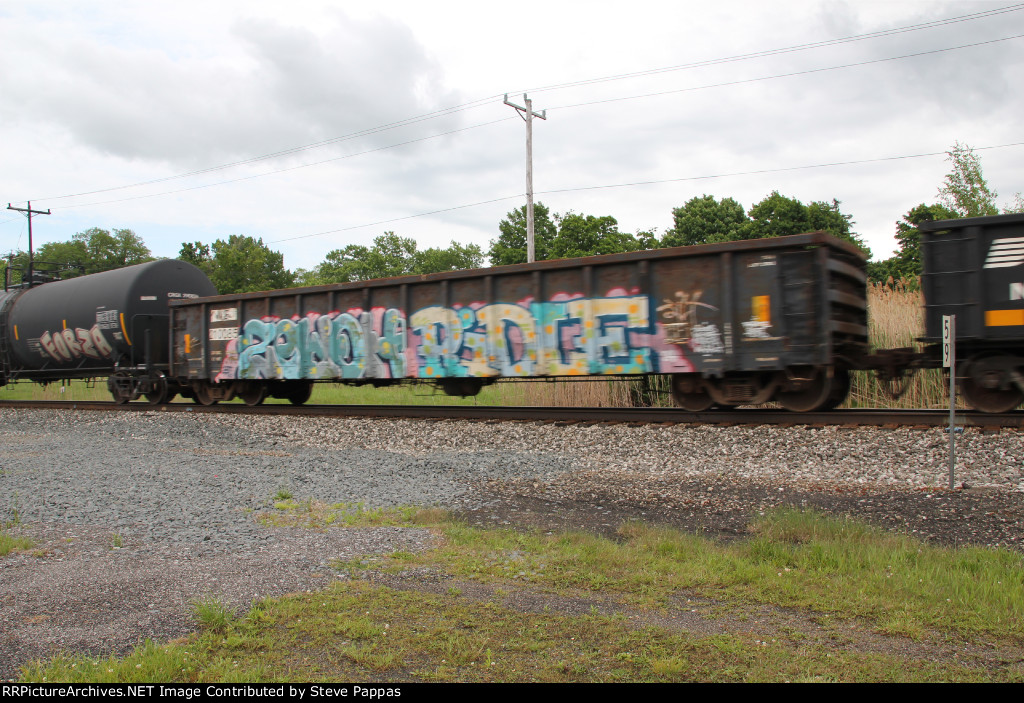 NS 210085